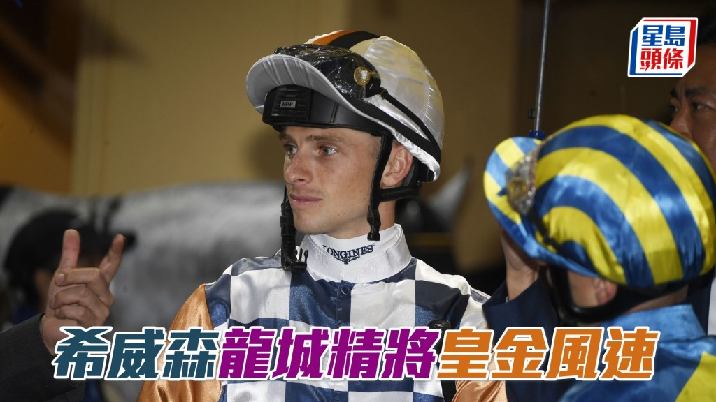希威森周日沙田黃昏賽共有八匹坐騎。