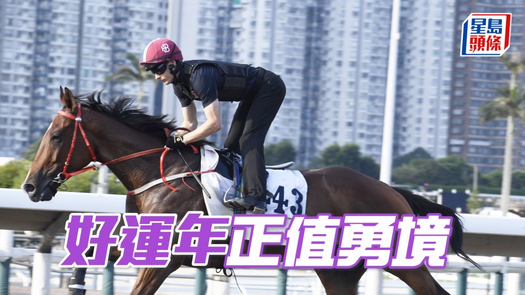 「好運年」神情專注步伐穩健，力度持續提升。