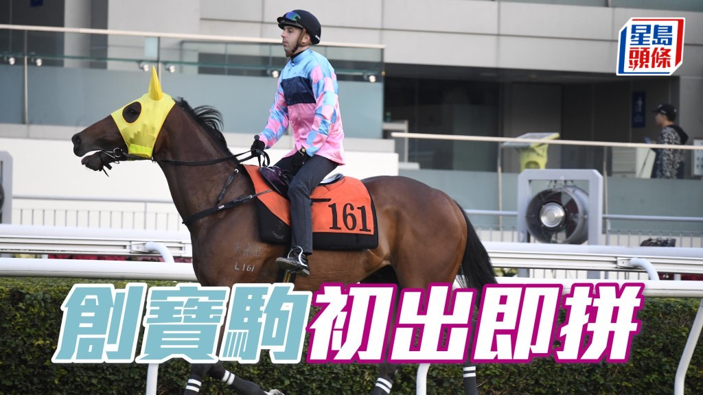 「創寶駒」最近谷閘試得好，料初出可即拼。