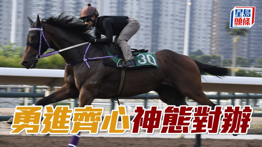 「勇進齊心」戴頭罩由助手跳兩段，步伐穩健流暢，馬身已收靚展現線條，神態對辦觀感不差。