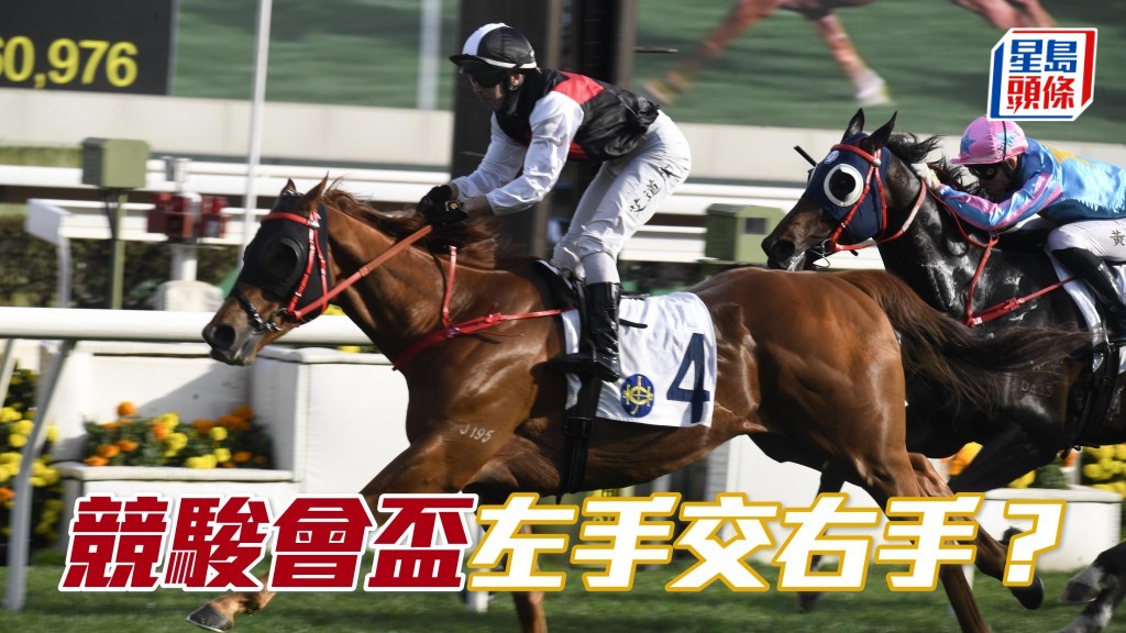 周日第八場競駿會盃，競駿會派出「競駿輝煌」(圖) 應戰，跑曾經三捷的田草千四米，擺明有心搏殺，獎盃有望左手交右手？