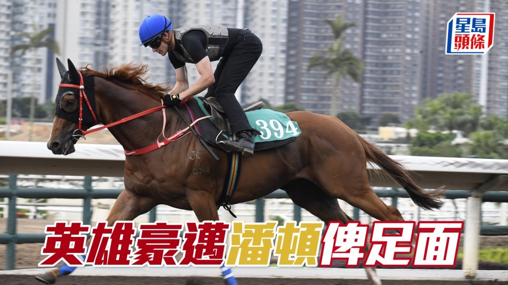 潘頓今朝親身替「英雄豪邁」試跑。
