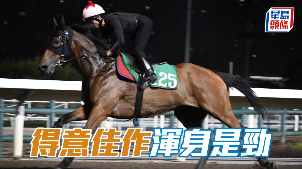  「得意佳作」渾身是勁