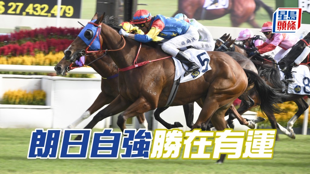 「朗日自强」今季两战获一冠一亚。