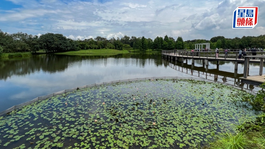 濕地公園6.5免費開放。資料圖片