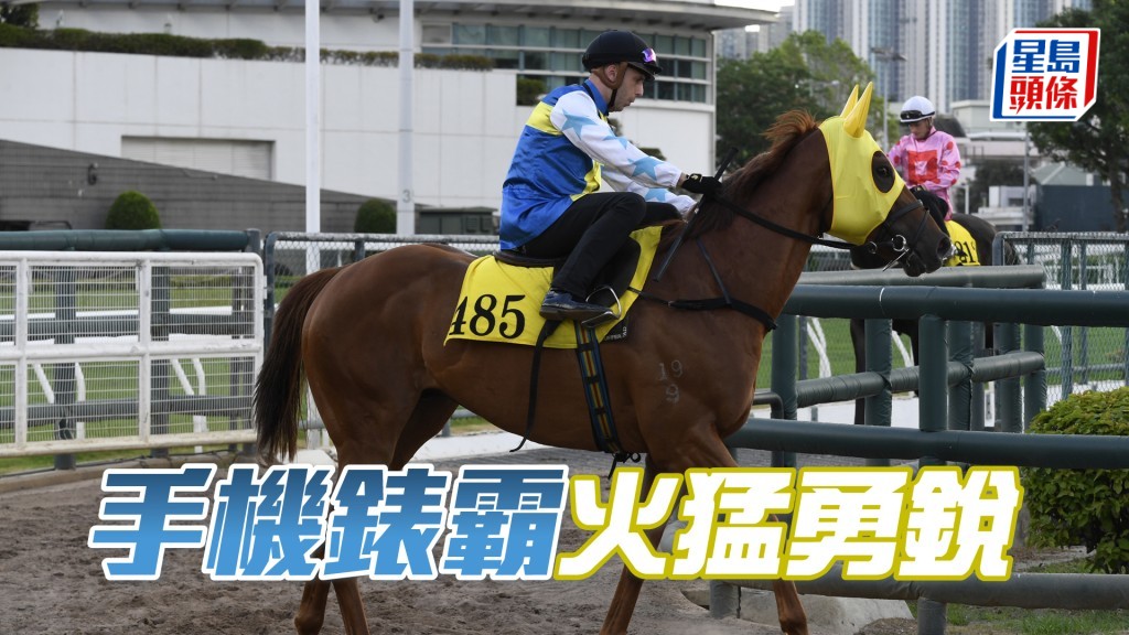 「手機錶霸」毛色悅目，身壯實淨依然勇銳。