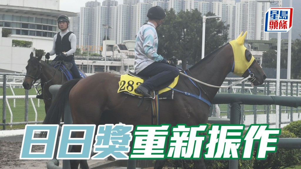 內圈捕影│「日日獎」重新振作