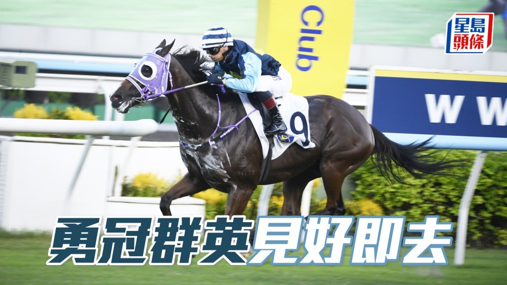 「勇冠群英」今仗勢成冷門，實屬最佳配腳。