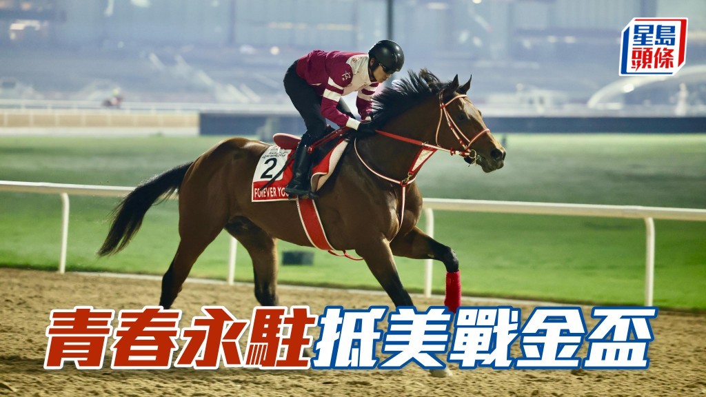 馬場浮世繪｜「青春永駐」抵美戰賽馬會金盃 強敵「管治權」擬退出