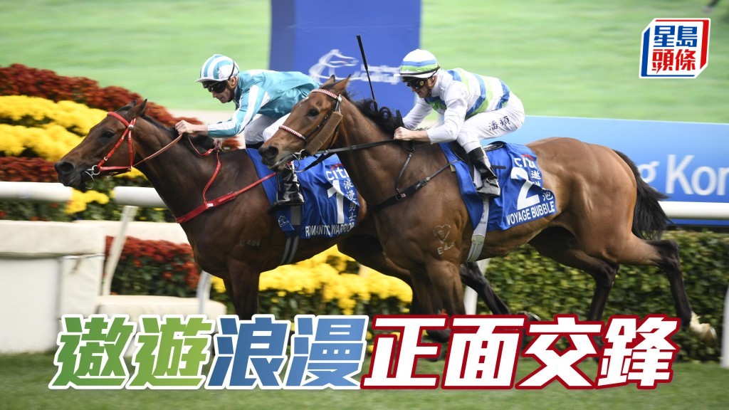 「遨游气泡」(外) 将于周日马会杯再度与前马王 「浪漫勇士」(前) 正面交锋，令人期待。
