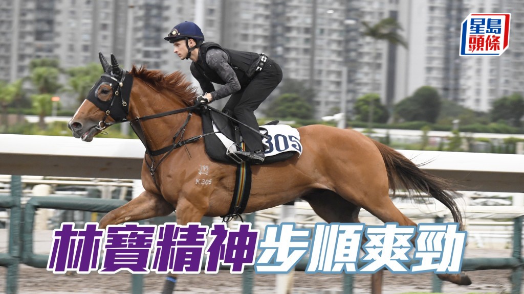 「林寶精神」墜手暗火展現，狀態仍勇毫無疲態。