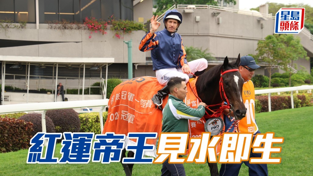「紅運帝王」跑變化場地向來出色，若臨場有雨如虎添翼。