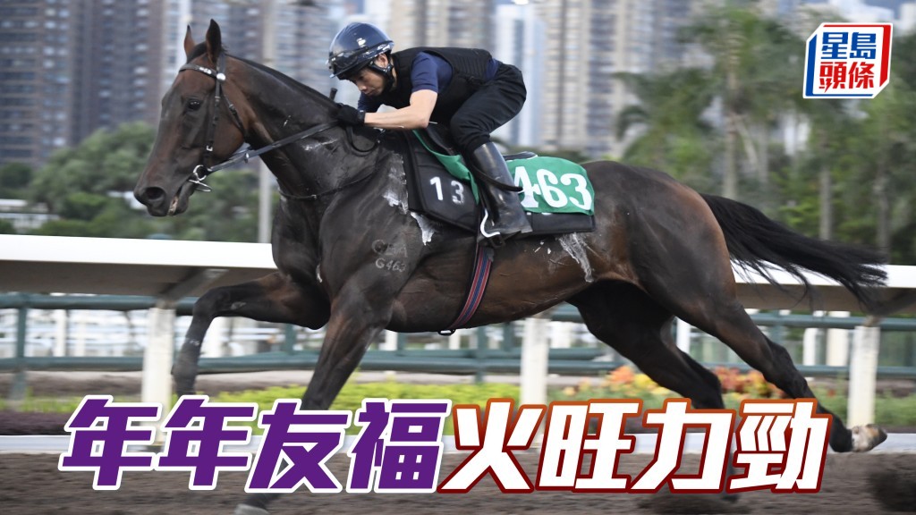 「 年年友福」火旺力劲