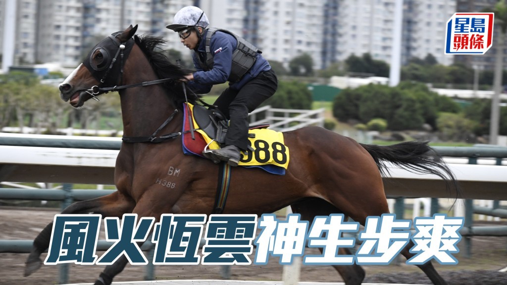 「風火恆雲」近日試來神生步爽充滿霸氣，狀態是來港後最弗一次。