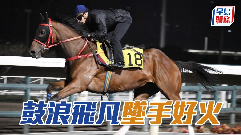 「鼓浪飞凡」毛色油润生光，更重要好坠手火气复现。