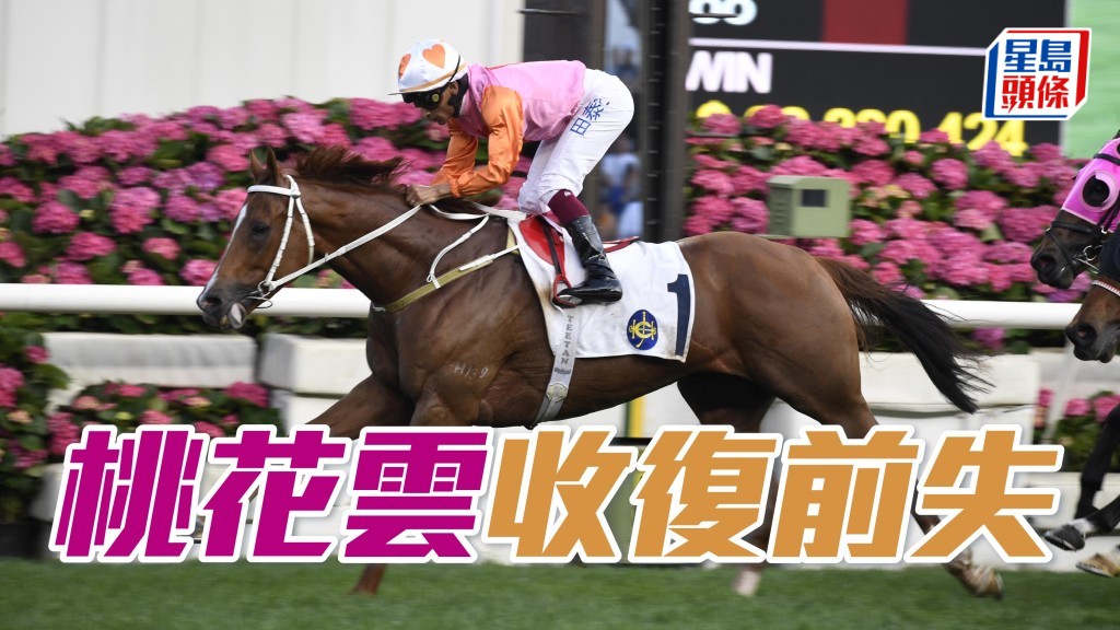 「桃花云」上场输得不值，相信告仔都希望马儿今场际遇转好，收复前失。
