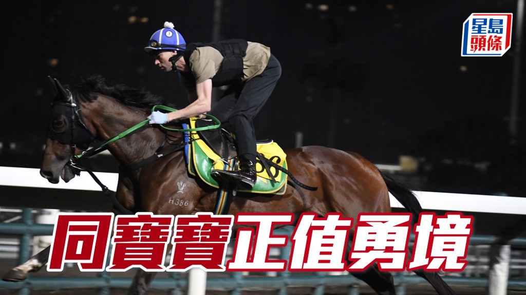 「同寶寶」跑姿順暢落腳輕巧，馬身壯毛色靚。