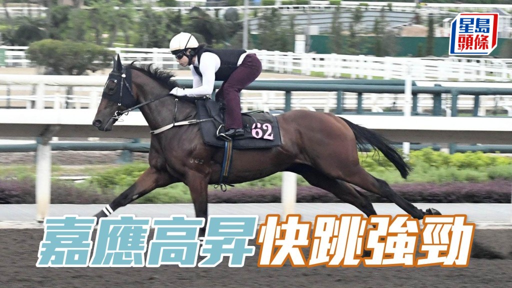 大衛希斯告知小組，「嘉應高昇」今早的操練表現良佳，而他滿意此駒於快操後的狀況。