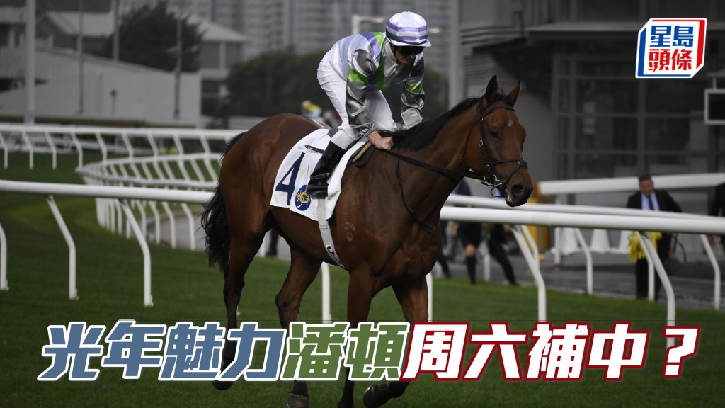 「光年魅力」(圖) 上場配潘頓只以頭位之微負於再出再贏的「康樂高球」,周末將為前駒全力補中。