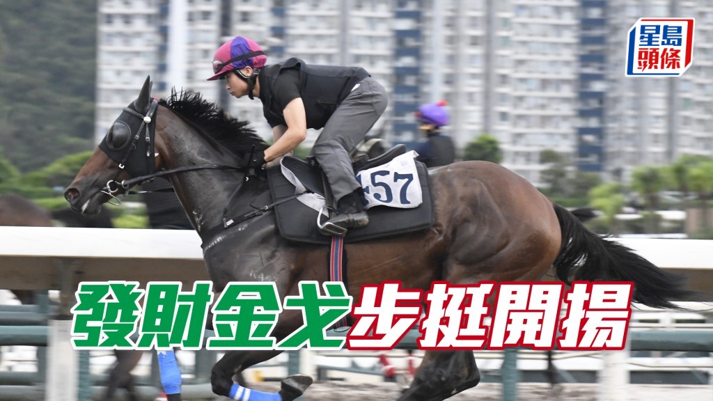 「發財金戈」馬身保持粗壯，神色甚佳正值勇境。