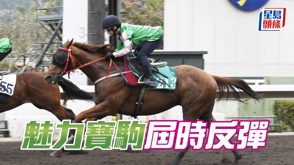 「魅力寶駒」現評七十八分,伸算已有反彈餘地。