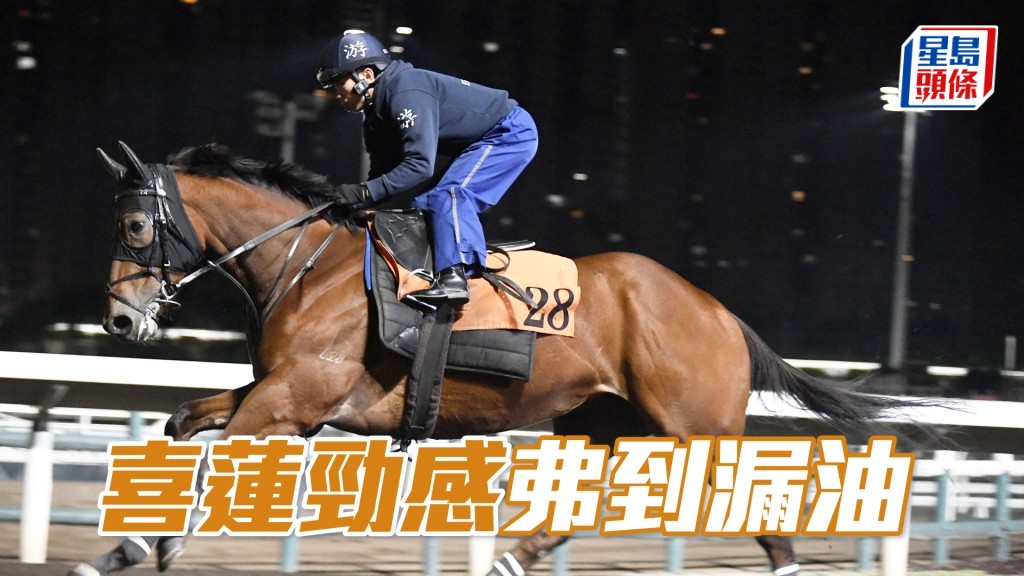 「喜莲劲感」聚精会神且唔再抢口，神生步爽马身又靓。