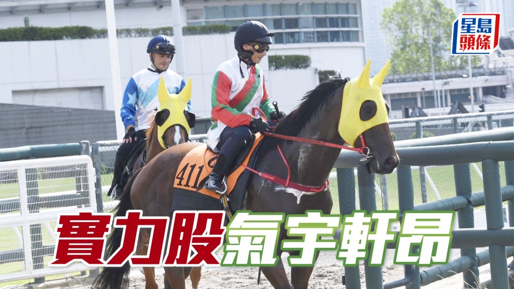  「實力股」馬身好靚好實淨，過步輕爽力度更增。