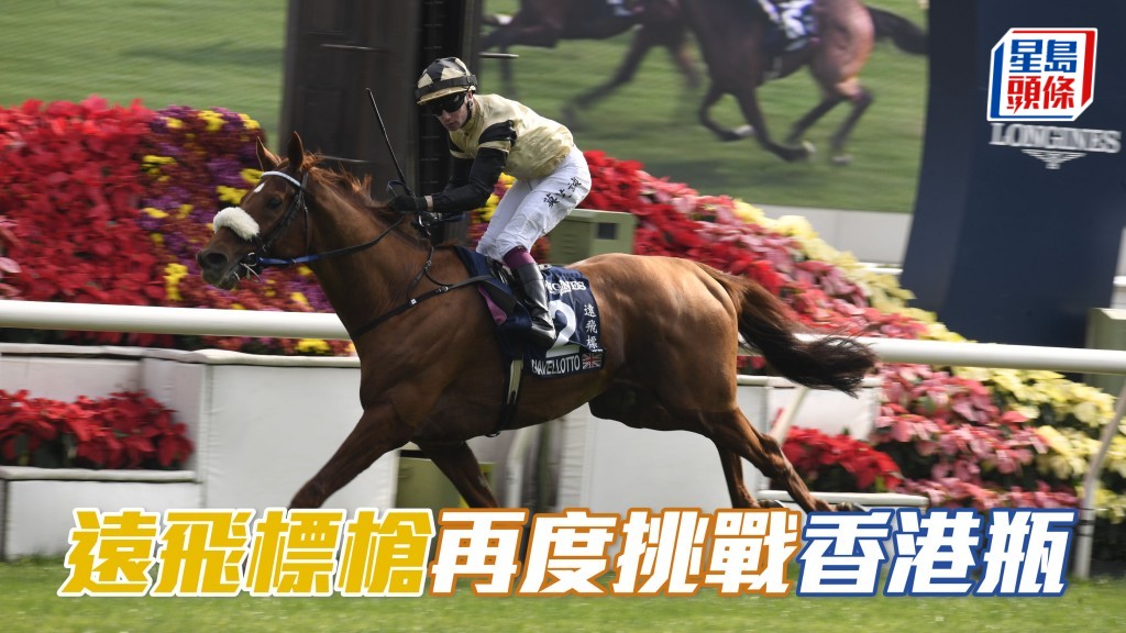 「遠飛標槍」(圖) 將嘗試挑戰成為「牢騷」、「迪諾醫生」、「高地之舞」和「耀滿瓶」之後，第五匹兩度贏出香港瓶的賽駒。