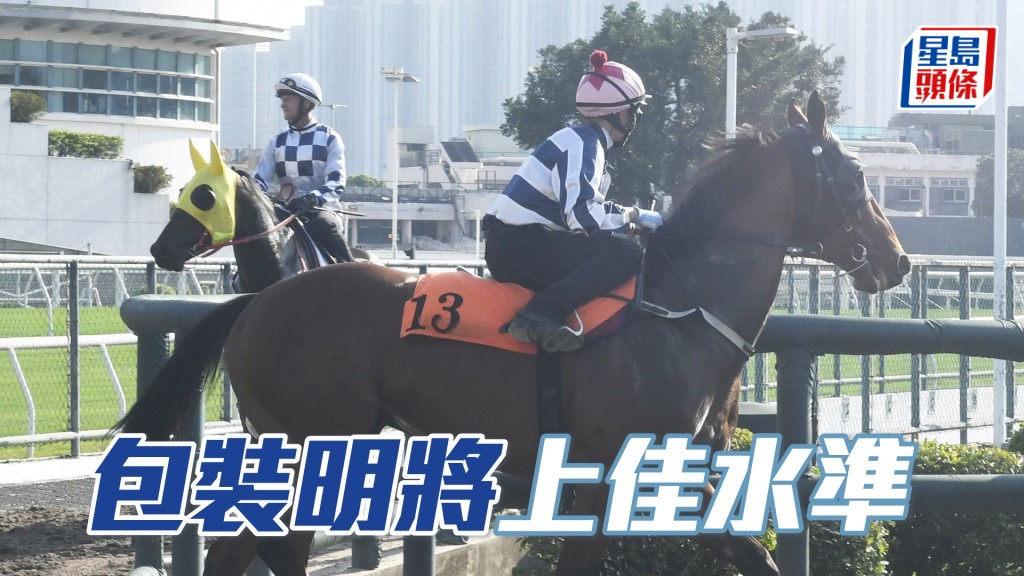 「包装明将」聚精会神出脚俐落，毛色透光泽。