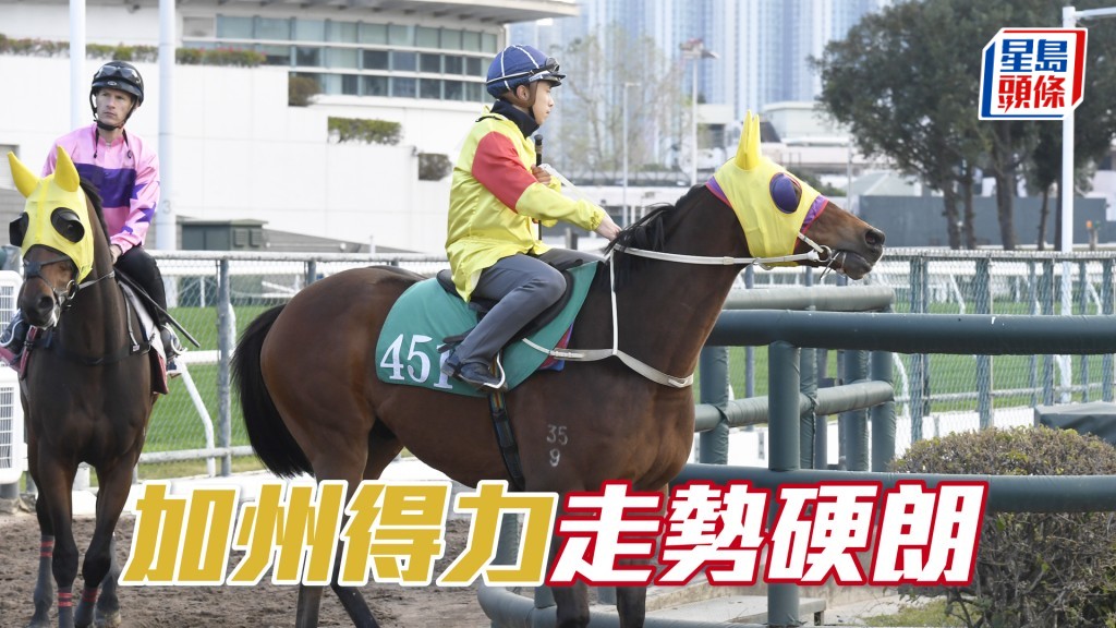 「加州得力」扣住而馳心火湧現，近況銳不可擋。