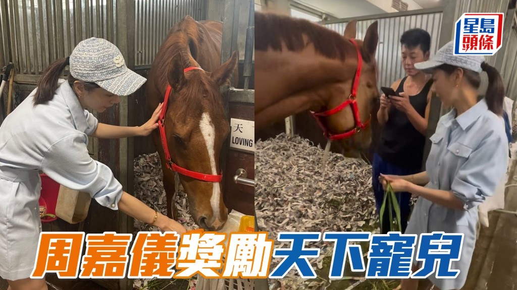 周嘉儀在其社交平台分享了她探望「天下寵兒」的短片。 相片來源:周嘉儀ig