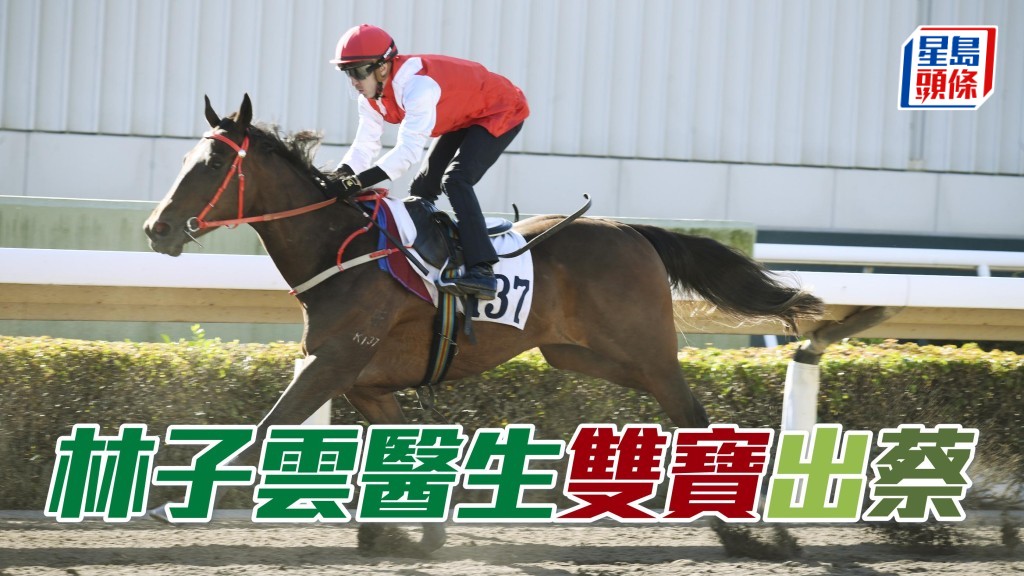 「力寶」系馬主林子雲醫生的「嘉力寶」（圖）和「弦力寶」分別列陣第三及五場。