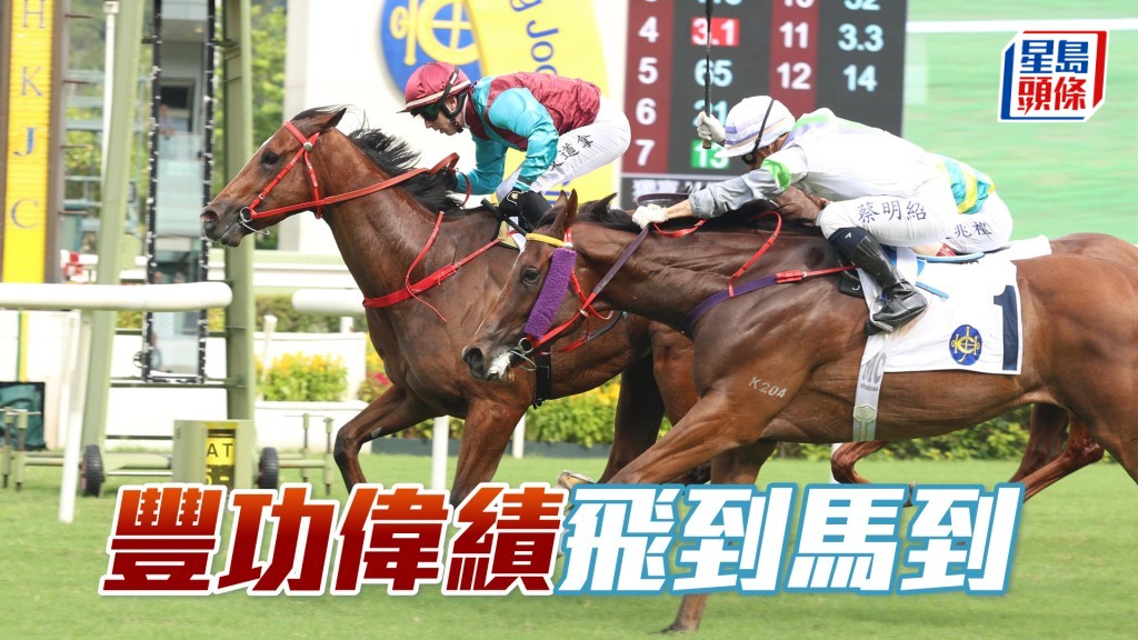 「豐功偉績」飛到馬到
