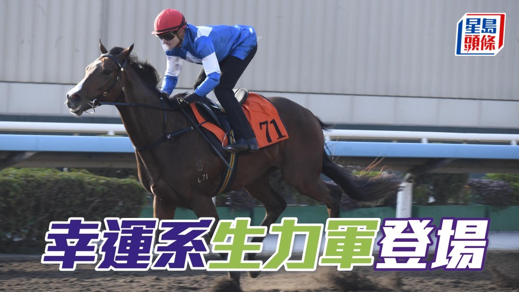 今期沙田賽事，梁文謙的生力軍「幸運奇兵」(圖) 將在港初出出爭第二場。