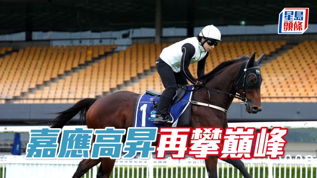 「嘉應高昇」在肯德百里馬場完成珠穆朗瑪峰錦標的備戰程序。（相片來源：HKJC）
