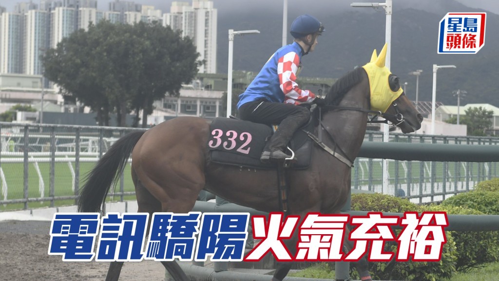 「電訊驕陽」擔高頭走極具朝氣，打仔馬一操即起。