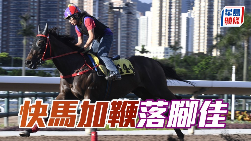 「快馬加鞭」助手踱兩圈，神態甚輕鬆，落腳富彈力，細馬身壯肌肉結實現線條。
