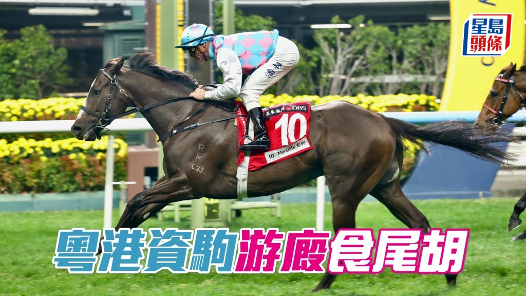 「粤港资驹」游厩食尾胡