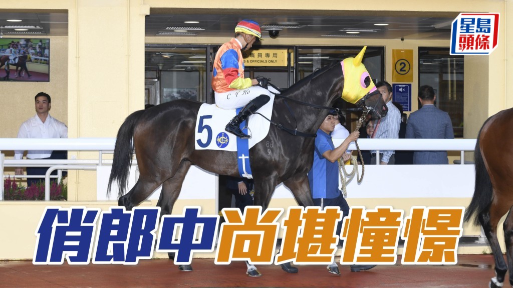 「俏郎中」上季轉倉後表現反覆，全因排檔外移陣上蝕位致落敗，若復出抽內檔尚堪憧憬。