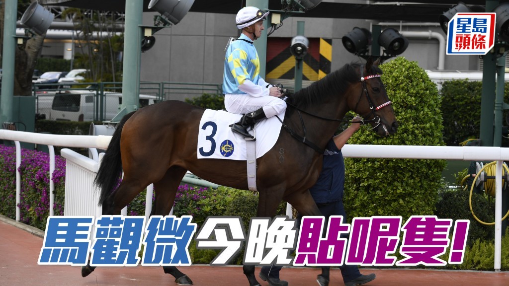 「樂勝天下」重現本色