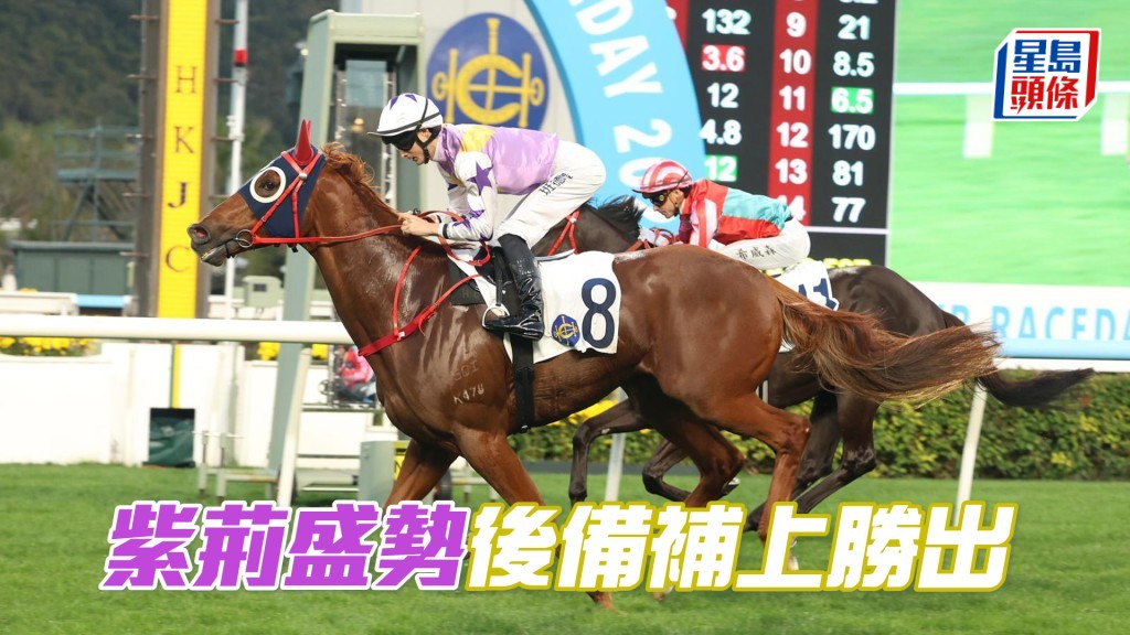 「紫荊盛勢」後備補上勝出