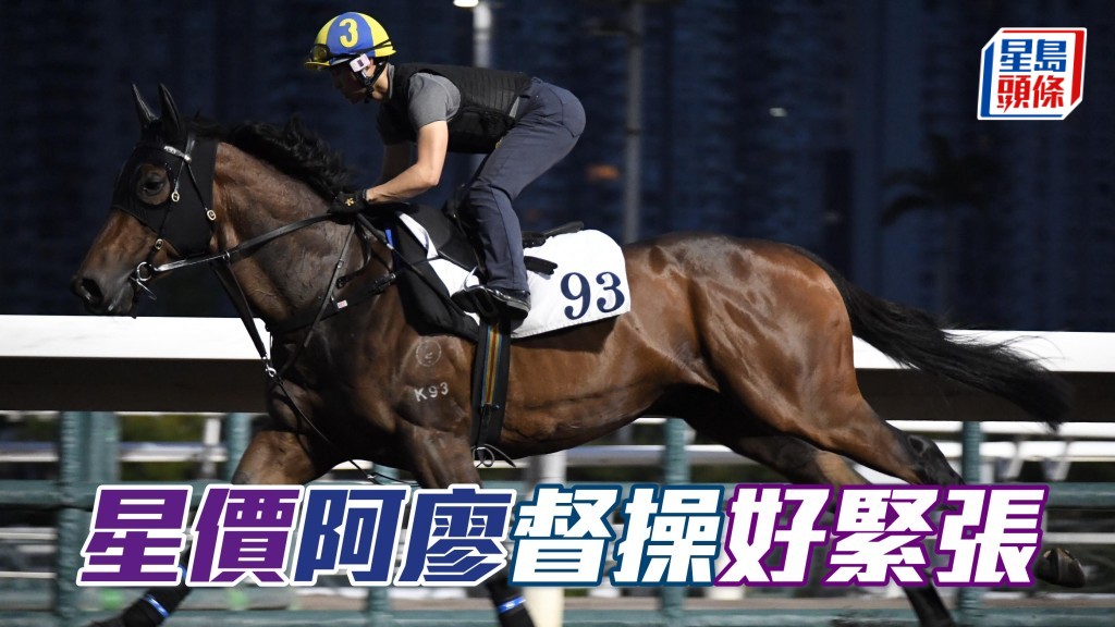 今朝「星價」出跳前後廖康銘重視不已,走上會員席督操,之後匆匆趕去機坪接馬。