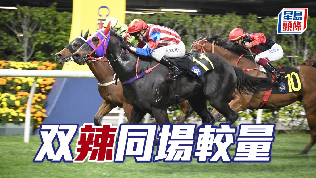 「辣得金」在四班贏過兩次。