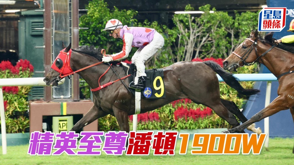 「精英至尊」潘頓1900W