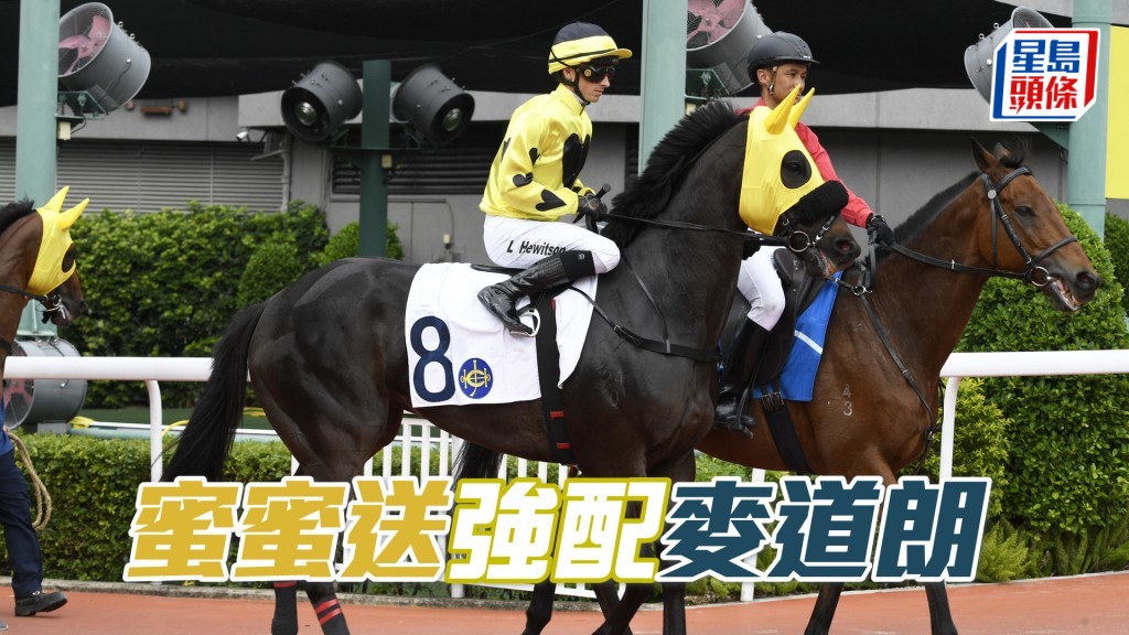 「蜜蜜送」今季三戰全部有獎金收。