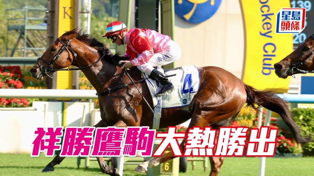 「祥勝鷹駒」大熱勝出