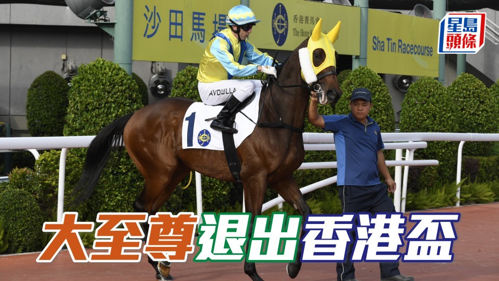 獸醫事務部主管（規管、福利及生物安全政策）通知受薪董事小組，浪琴香港盃參賽馬「大至尊」被發現左前腿不良於行。因此，「大至尊」(圖) 已退出浪琴香港盃。