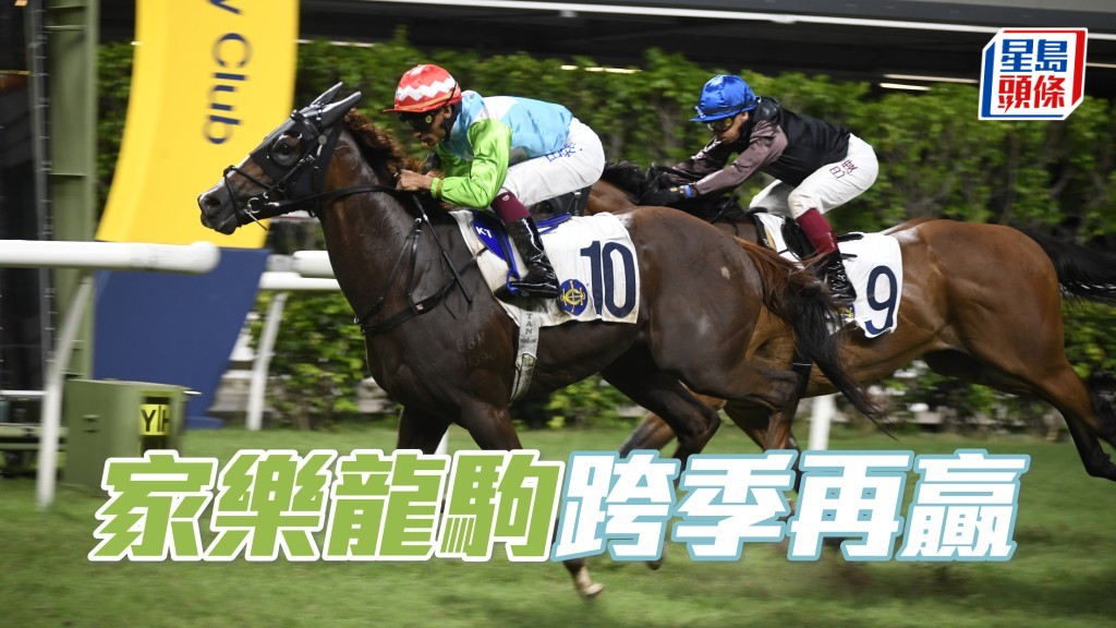 「家樂龍駒」今場季內初出，帥權由潘頓接手，排二檔理想，且看潘頓能否為這匹賀廄馬建功。