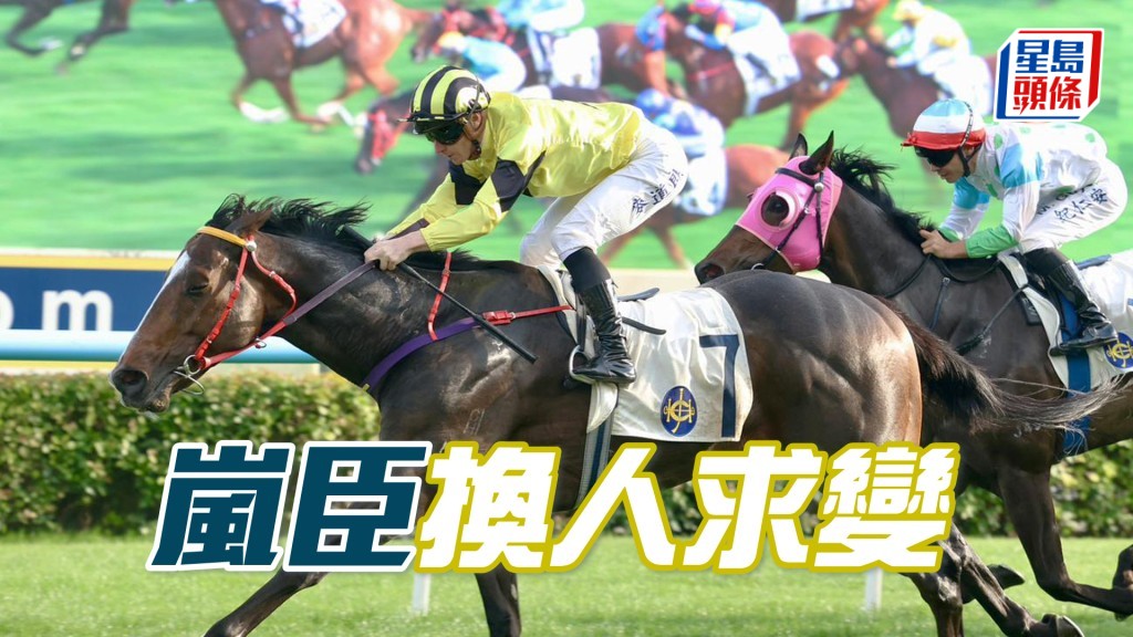 「嵐臣」改配布浩榮兼初戴羊毛面箍，存在向好變數。