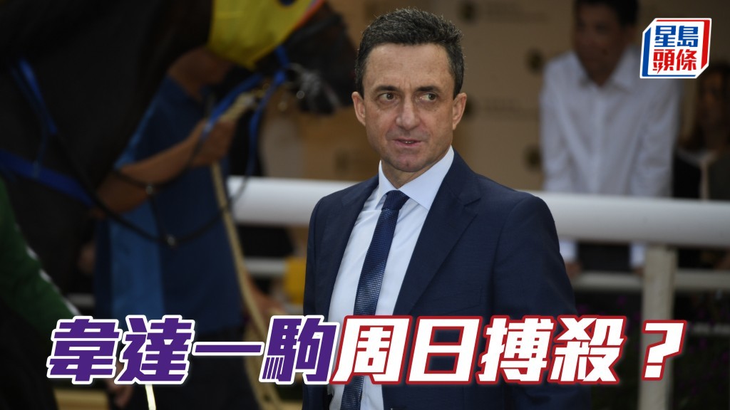 周中不會有本地賽事，多位騎練紛紛趁機出外旅行，韋達 (圖) 留港備戰，而且親操「龍城精將」，莫非有計？